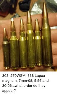 308 270WSM 338 Lapua Magnum 7mm-08 556 and 30-06what Order D