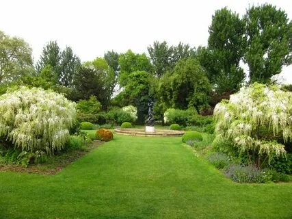 Verde en el jardín - trucos e ideas para un buen mantenimiento