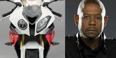 Pictures of Forest Whitaker - Pictures Of Celebrities