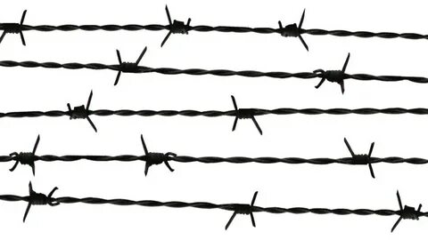 Video Stok barbed wire remains iron curtain (100% Tanpa Roya