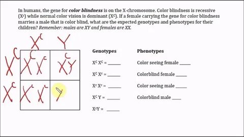 pedigree chart for colour blindness - Fomo