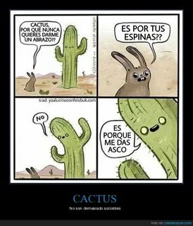 Malditos cactus.
