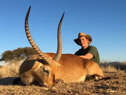 Red Lechwe & Tsessebe Combo Hunt US $3,750 AfricaHunting.com