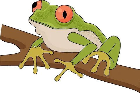 Tree Frog Graphic Related Keywords & Suggestions - Tree Frog