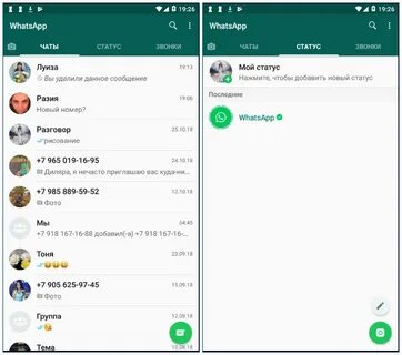 Whatsapp Web - скачать бесплатно на телефон
