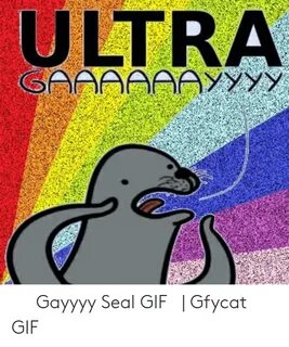 🐣 25+ Best Memes About Gaaaay Seal Meme Gaaaay Seal Memes