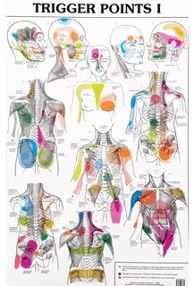 Massage Therapy DeLand Chiropractic & Spinal Decompression