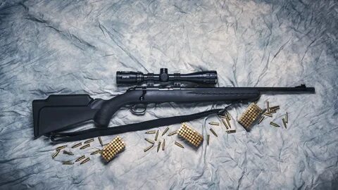 17 Hmr 8 Of The Top Rifles For Plinking And Varmint Hunting