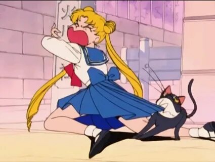 Pin by Sailorb . on Sailor Moon! Sailor moon meme, Sailor mo
