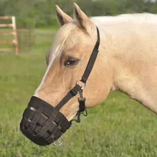 Cashel Grazing Muzzle with Halter