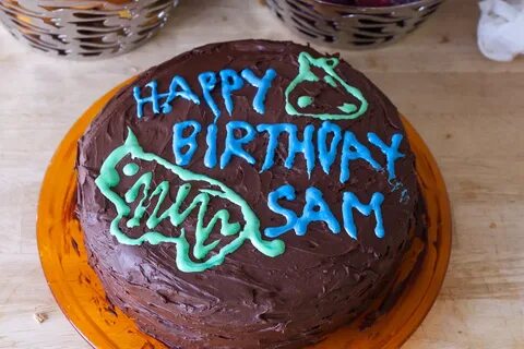 Happy Birthday, Sam! Sam's birthday cake, lovingly baked a. 