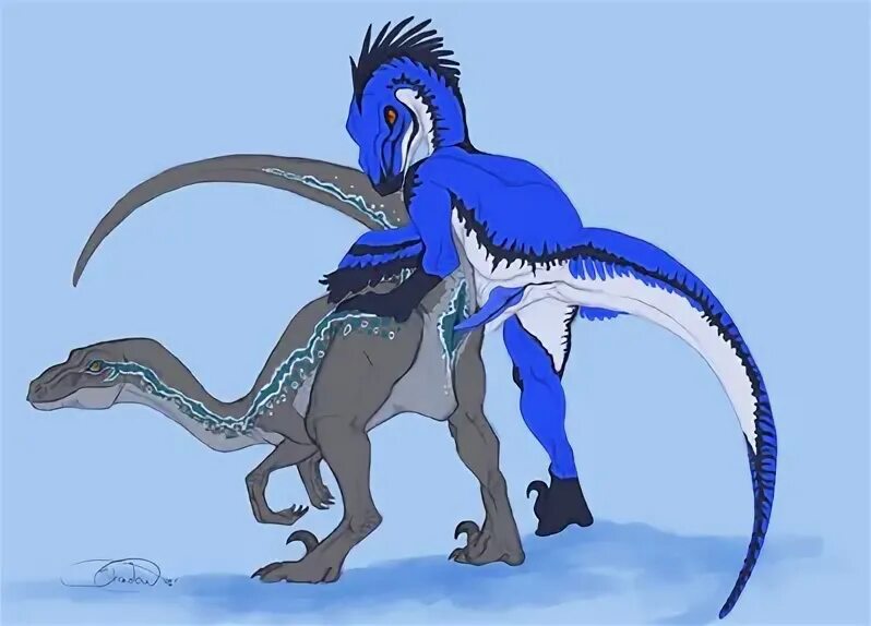 Feral Dinosaur Mating - Nargus and Blue - Herpy Image Archiv
