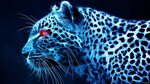 Neon Tiger Wallpaper (65+ images)
