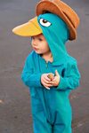 Larissa Another Day: A Phineas and Ferb Halloween: Perry the