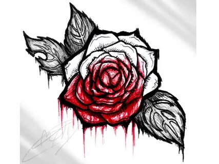 Drawn rose bleeding rose - Pencil and in color drawn rose bl