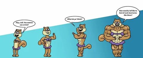 Sandy Cheeks Growth Sequence by SquirrelyPecs on DeviantArt 