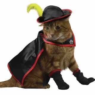 costumed cat Image - ID: 290666 - Image Abyss