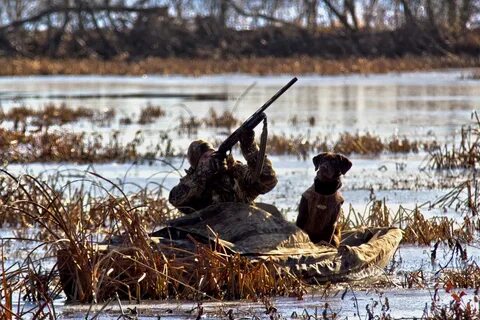 Choosing the Best Duck Hunting Kayak for Your Area Great Day