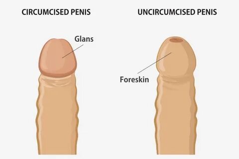 uncircumcised teen s - Care of the Uncircumcised Penis in Te