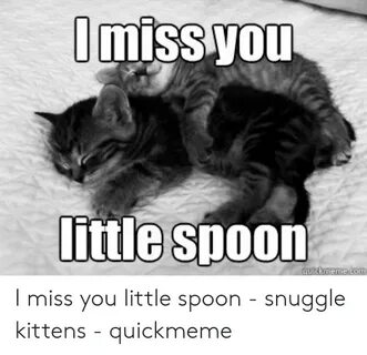 Imiss You Little Spoon Quickmemecom I Miss You Little Spoon 