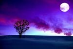 Full Moon in Purple Winter Sunset