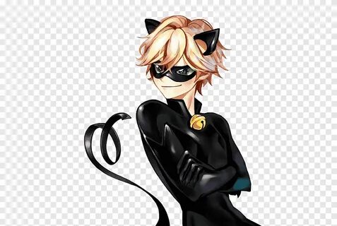 Adrien Agreste Le Chat Noir MLB Black cat Hashtag, cat noir,