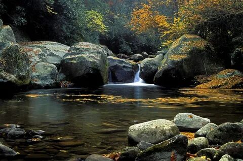 Smoky Mountain Stream Smoky Mountain National Park Wildernes