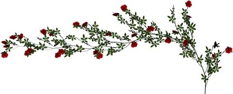 vine logo png transparent background - Transparent Rose Vine