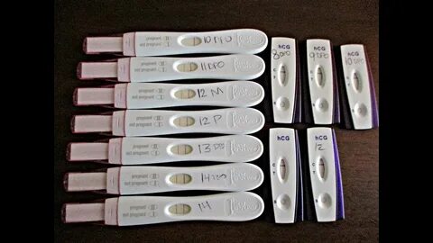 Pregnancy Test Results: Line Progression 8-14 DPO - YouTube