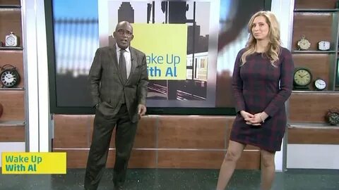 Stephanie Abrams - plaid dress - 12-02-14 (1080p) - YouTube