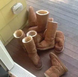 Dezimal Abgeschnitten Kent ugg boots lustig Tinte Permanent 