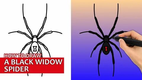 How To Draw A Black Widow Spider Easy Step By Step Drawing T