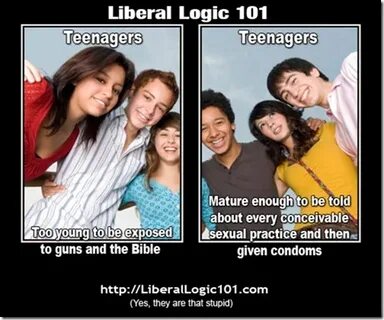 Woodsterman: Liberal Logic 101 - C