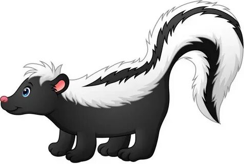 Pics Of The Skunk Character - Сток картинки - iStock