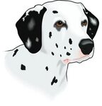 Dalmatian clipart head, Picture #869851 dalmatian clipart he
