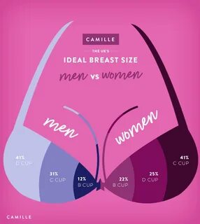Average boob size in cm