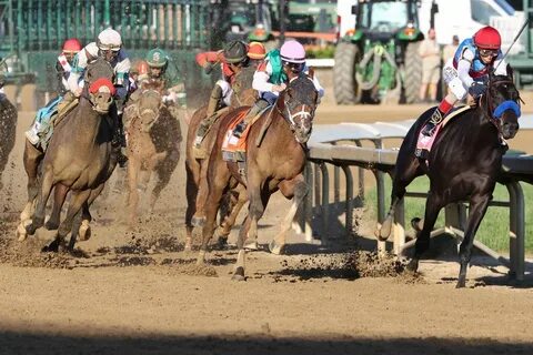 Preakness 2021: Post Positions Drawn, Odds Set, Medina Spiri