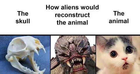 People Are Sharing How Aliens Might Reconstruct Animals Base