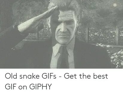 🐣 25+ Best Memes About Snake Gifs Snake Gifs Memes