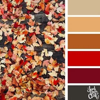 Pin by Larisa Karpishuk on World of COLORS Autumn leaf color