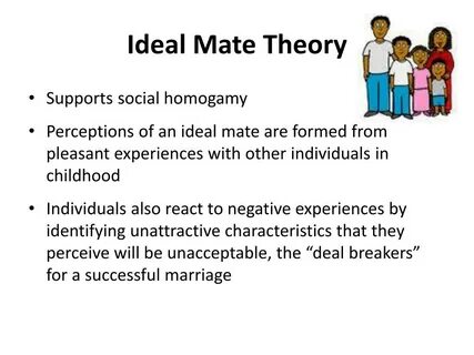 What is ideal mate theory?