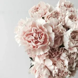 Blush/cream carnations and roses in bridal bouquet Белые цве