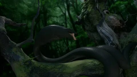 Dream of Titanoboa 1 - Epic Snake Vore - Mercilessnature - V