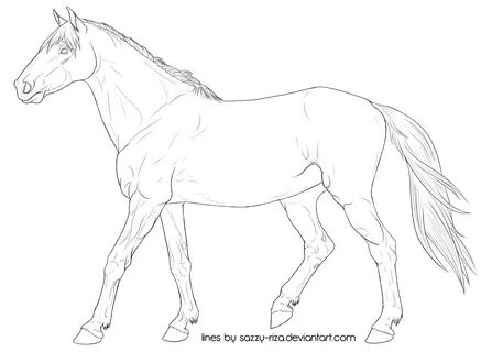 0 images about horse lineart on arabian horses 4 - Clipartin