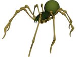 Spider 3D Model - 3D CAD Browser