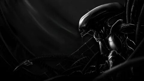 Alien HD Wallpaper Background Image 2427x1362
