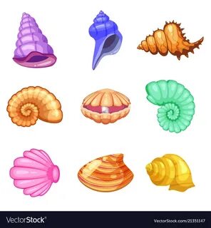 Colorful tropical shells underwater icon set frame