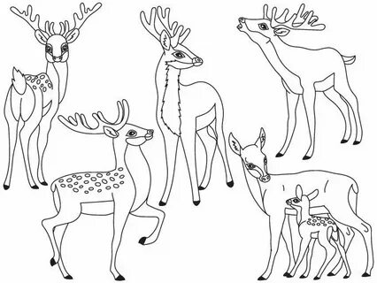 70% OFF SALE Deers Clipart - Digital Vector Deers, Animals, 