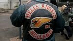 Hells Angels bikers banned by Netherlands court - BBC News