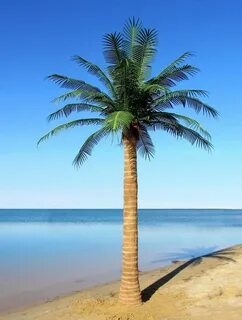 Custom Made Palm Trees - Artifical Exterior Palms Palm tree 